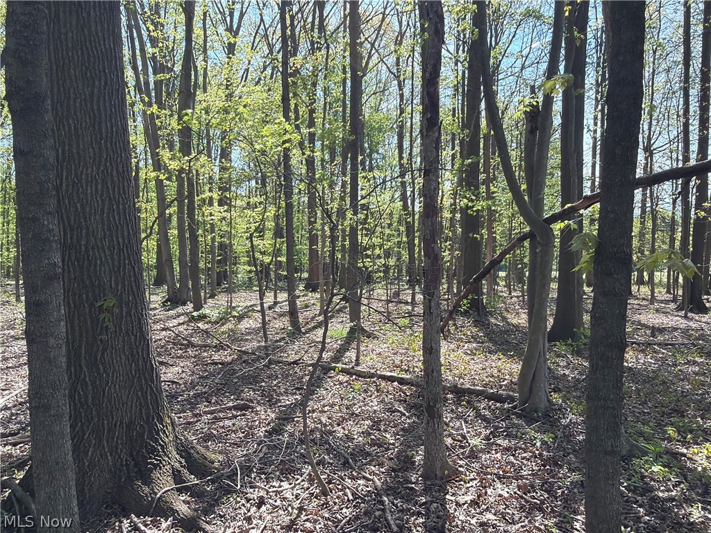 Rear Property Photo 36