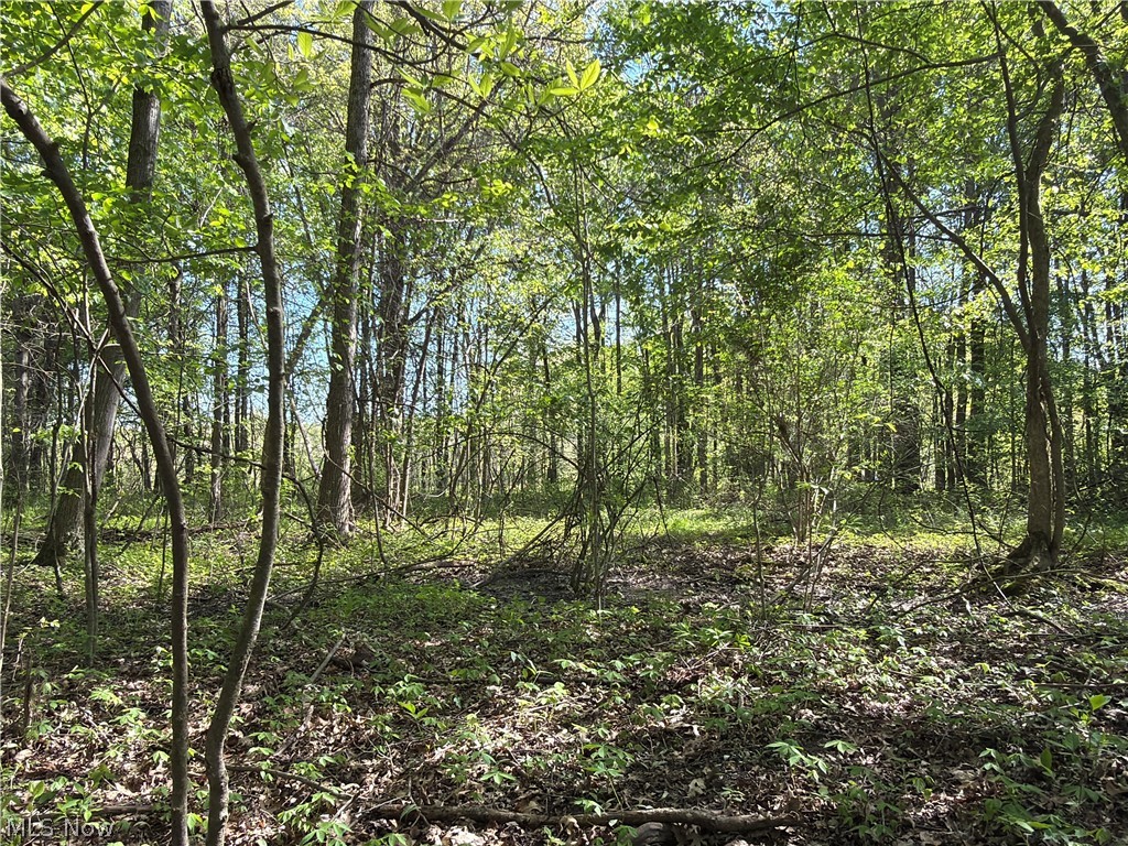 Rear Property Photo 37