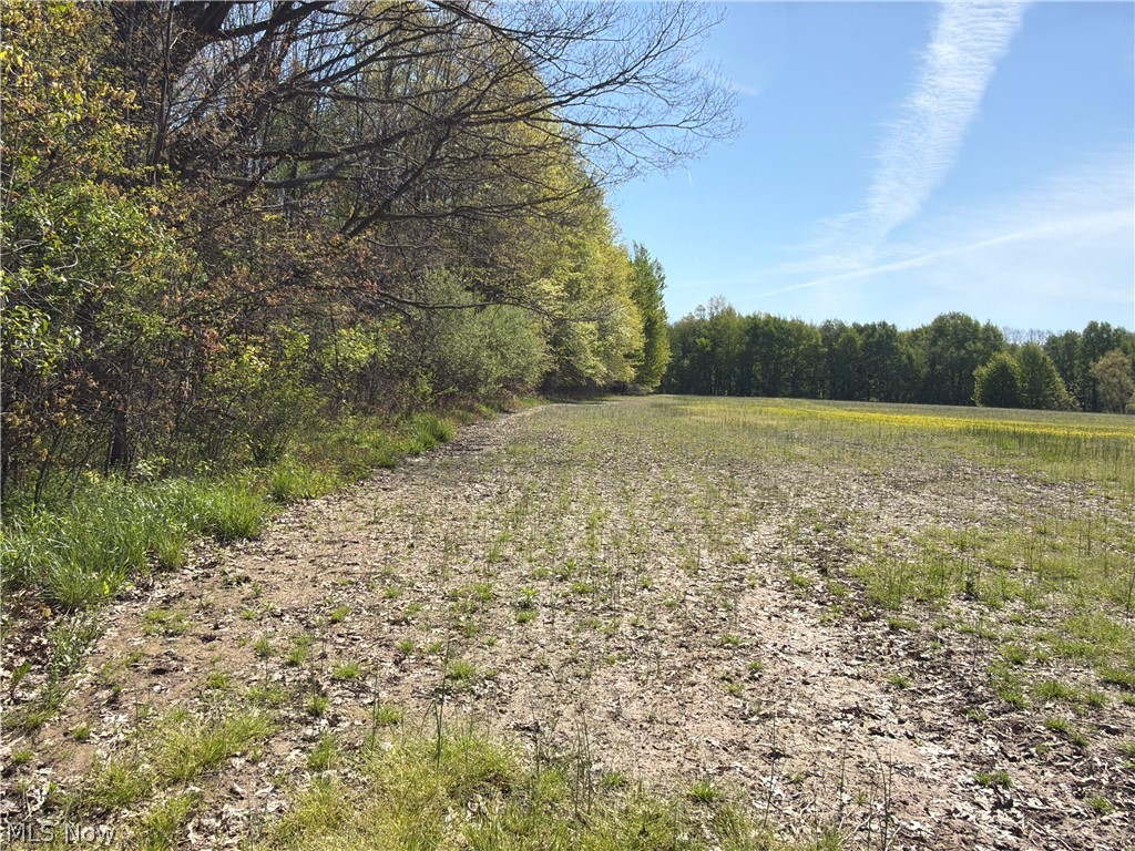Rear Property Photo 38
