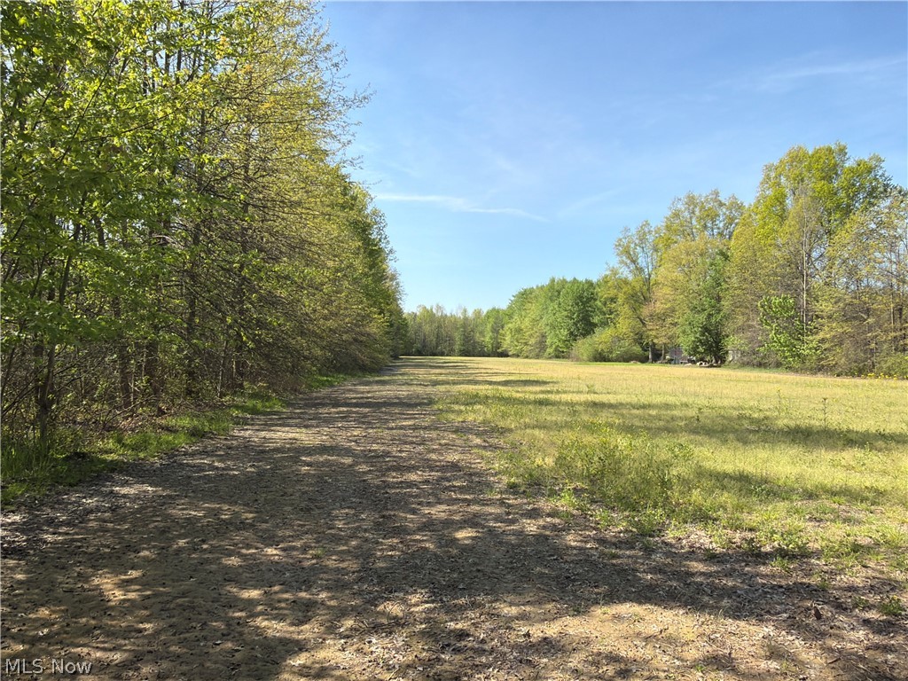 Rear Property Photo 39