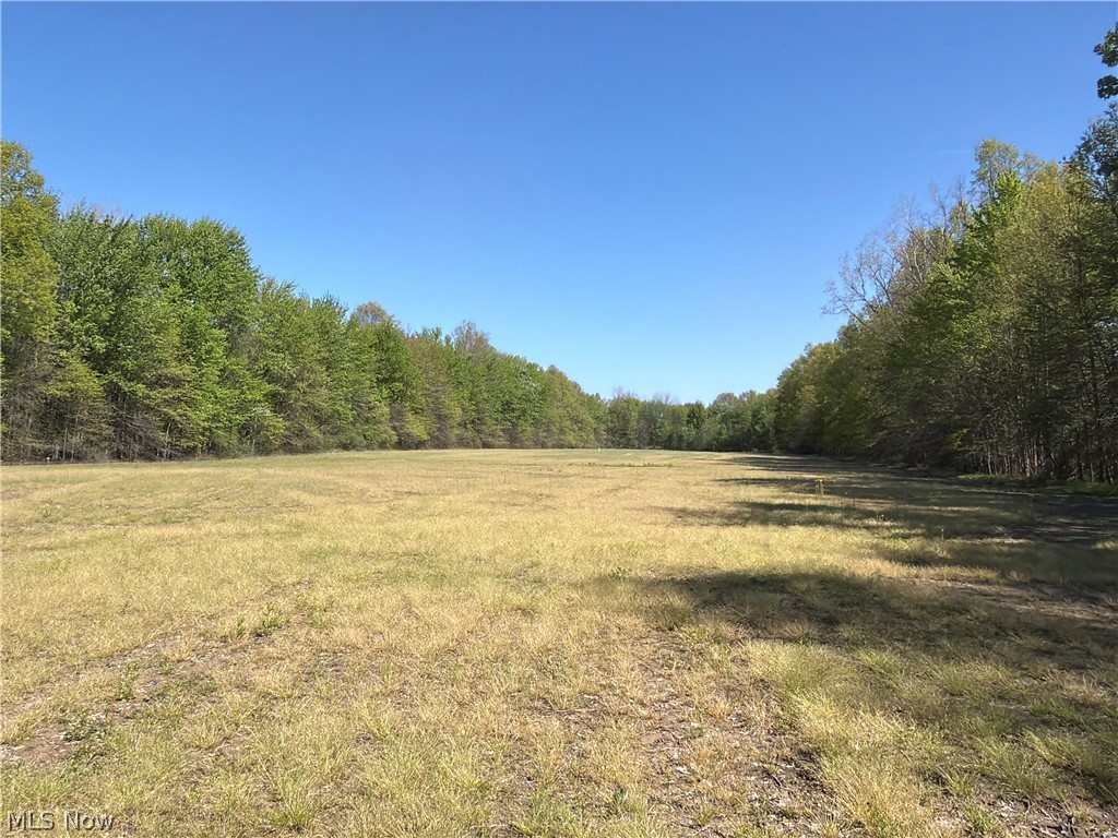 Rear Property Photo 40