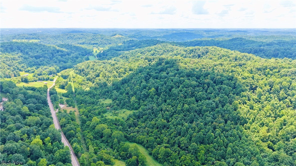 0 Temperanceville Highway Property Photo 1