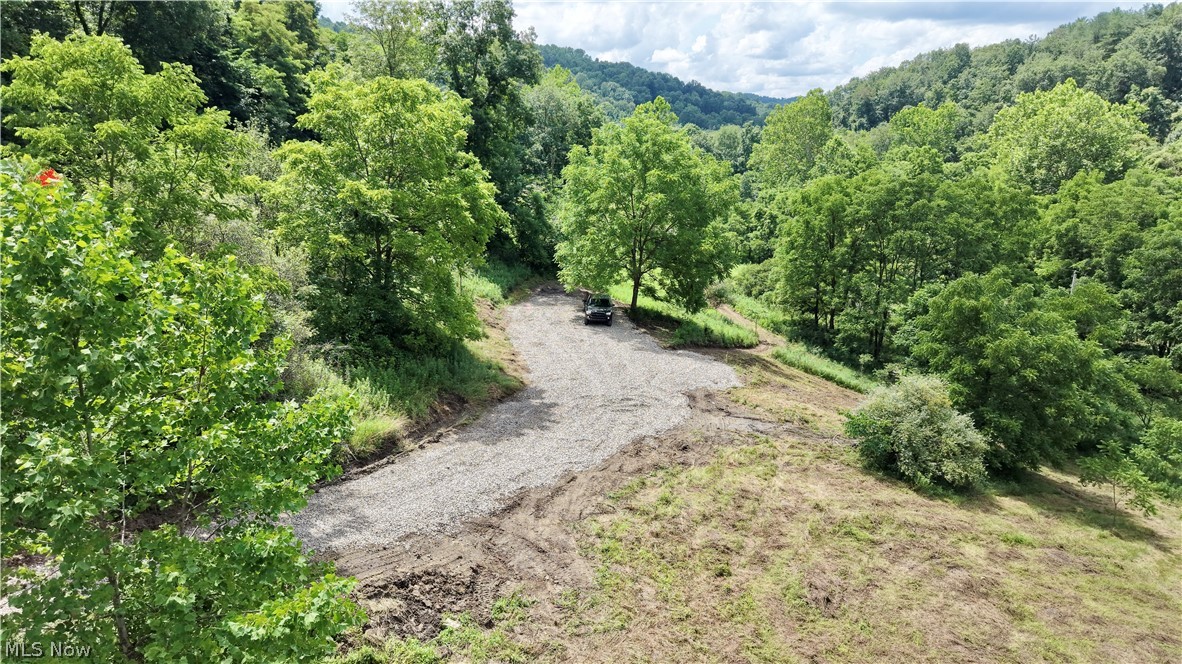 0 Temperanceville Highway Property Photo 3