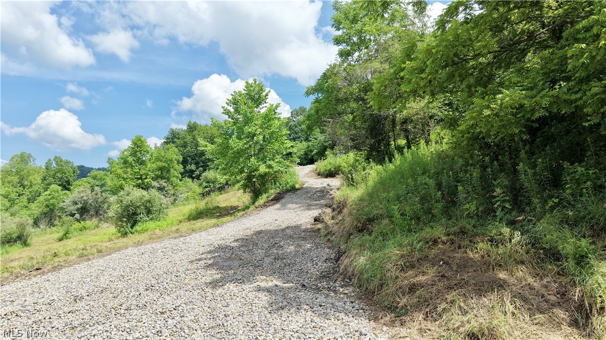 0 Temperanceville Highway Property Photo 4