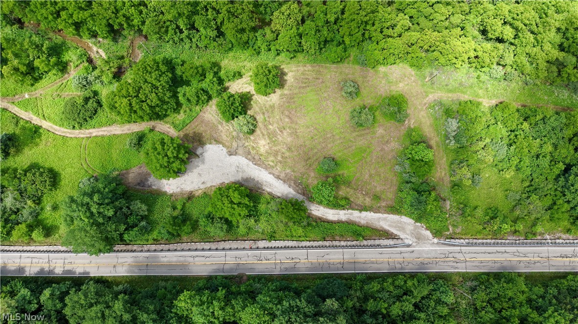 0 Temperanceville Highway Property Photo 9