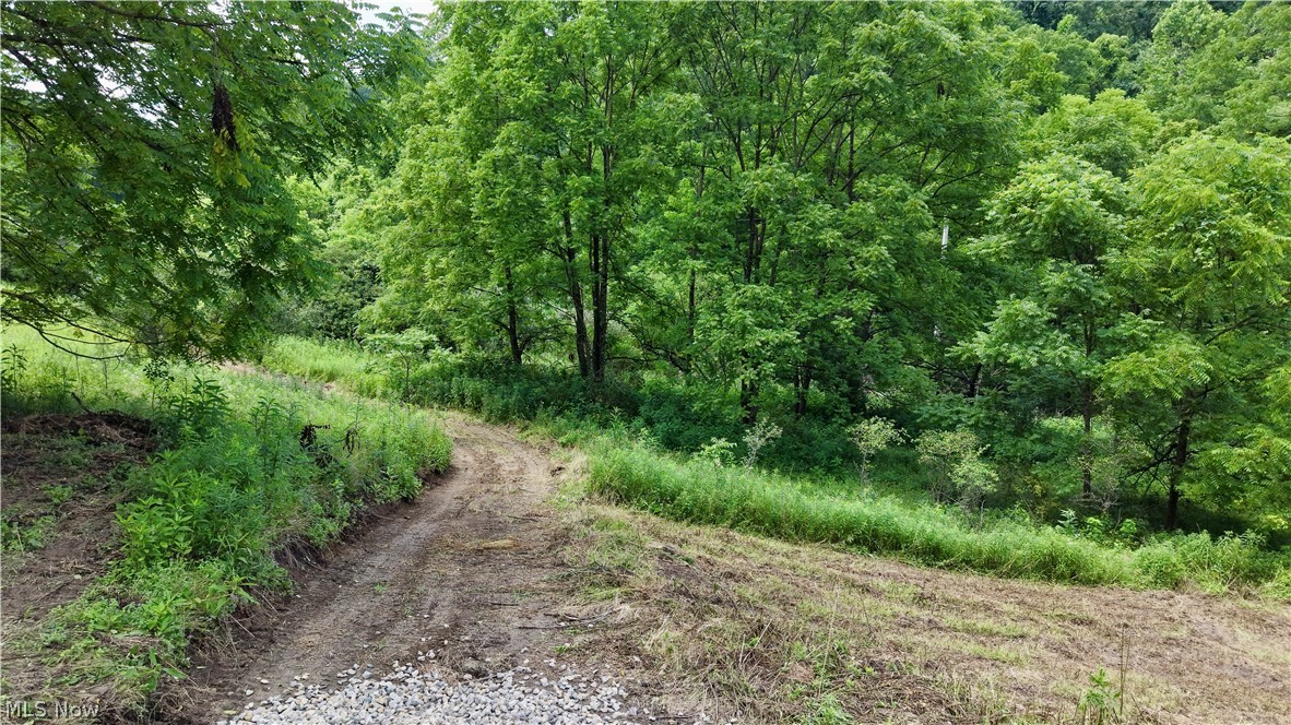 0 Temperanceville Highway Property Photo 10