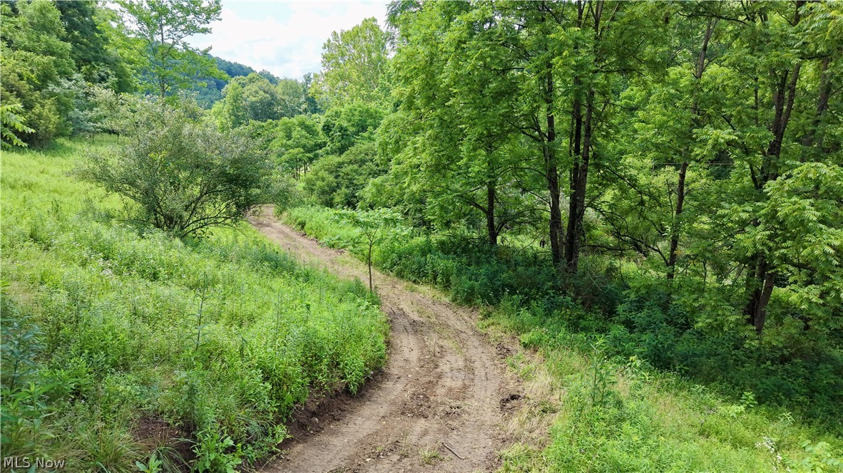 0 Temperanceville Highway Property Photo 11