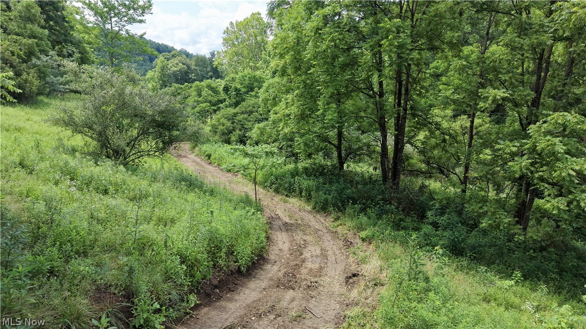 0 Temperanceville Highway Property Photo 12