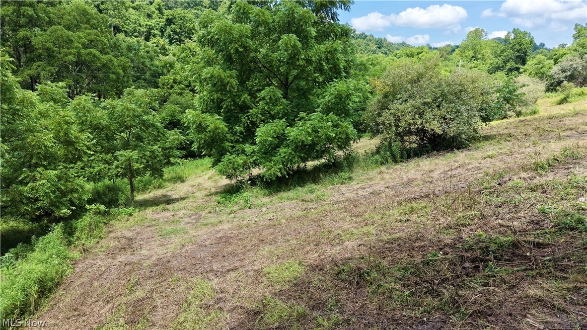 0 Temperanceville Highway Property Photo 13