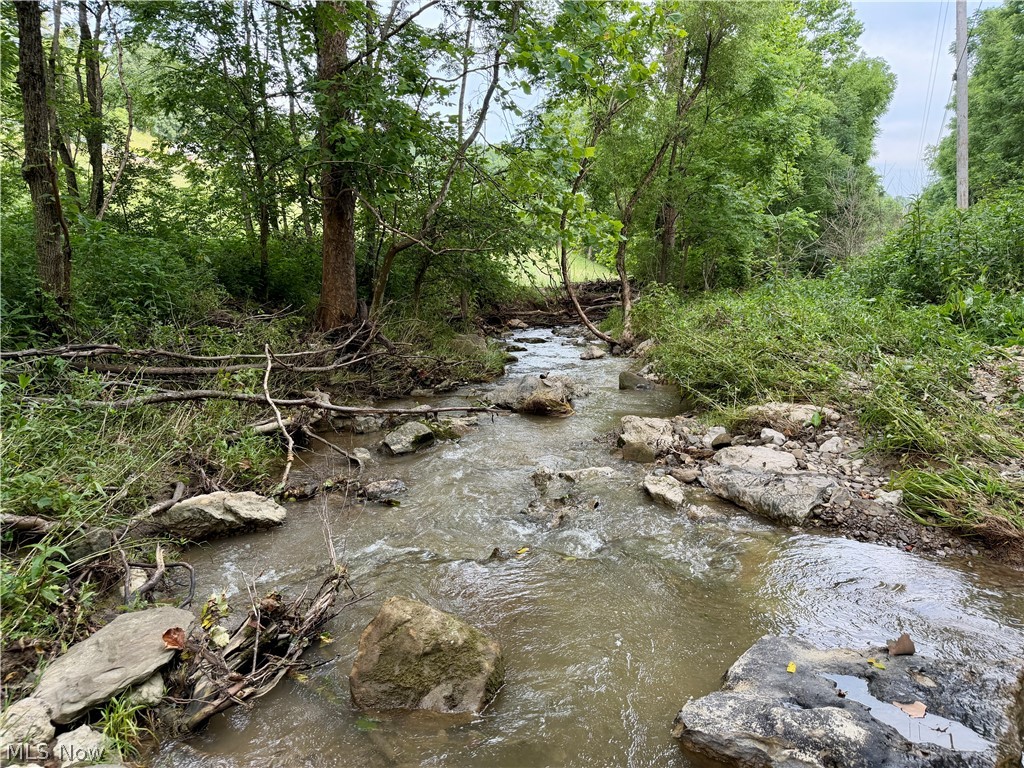 0 Temperanceville Highway Property Photo 14