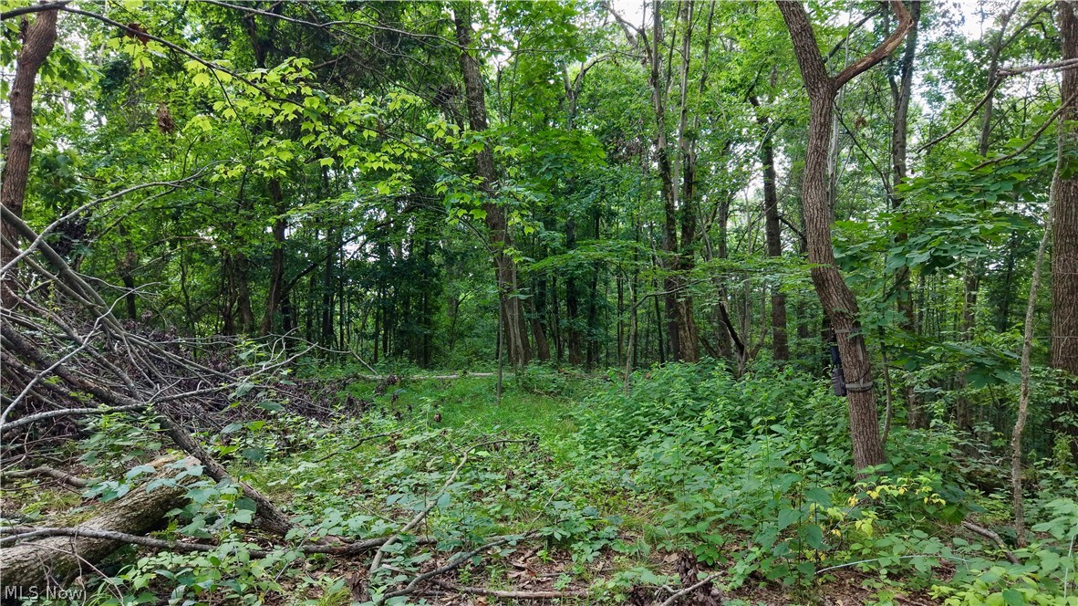 0 Temperanceville Highway Property Photo 16
