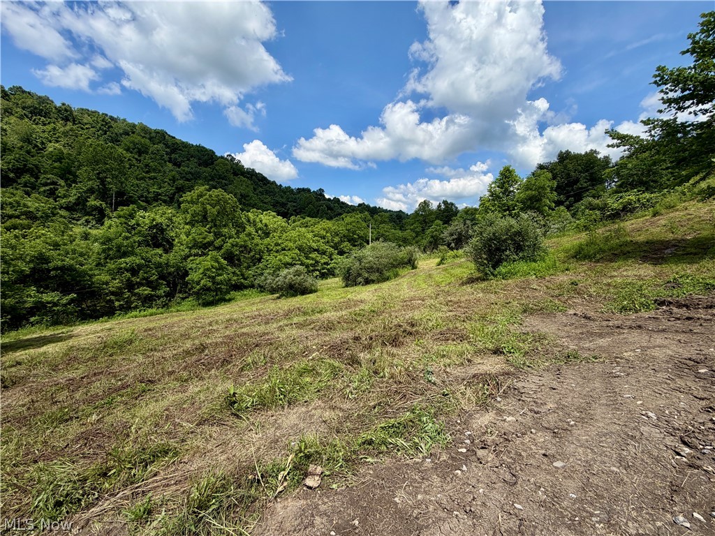 0 Temperanceville Highway Property Photo 18