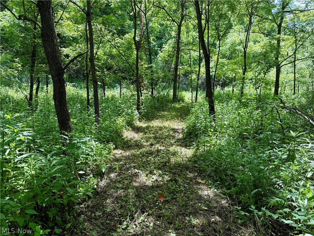 0 Temperanceville Highway Property Photo 19