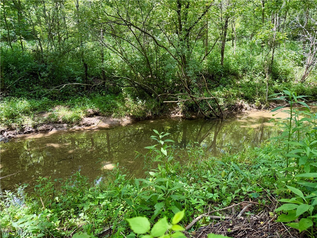 0 Temperanceville Highway Property Photo 20