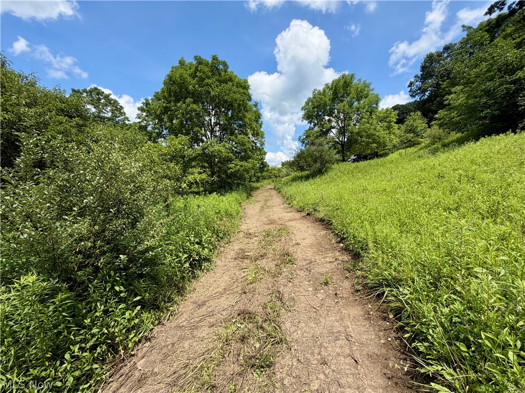 0 Temperanceville Highway Property Photo 21