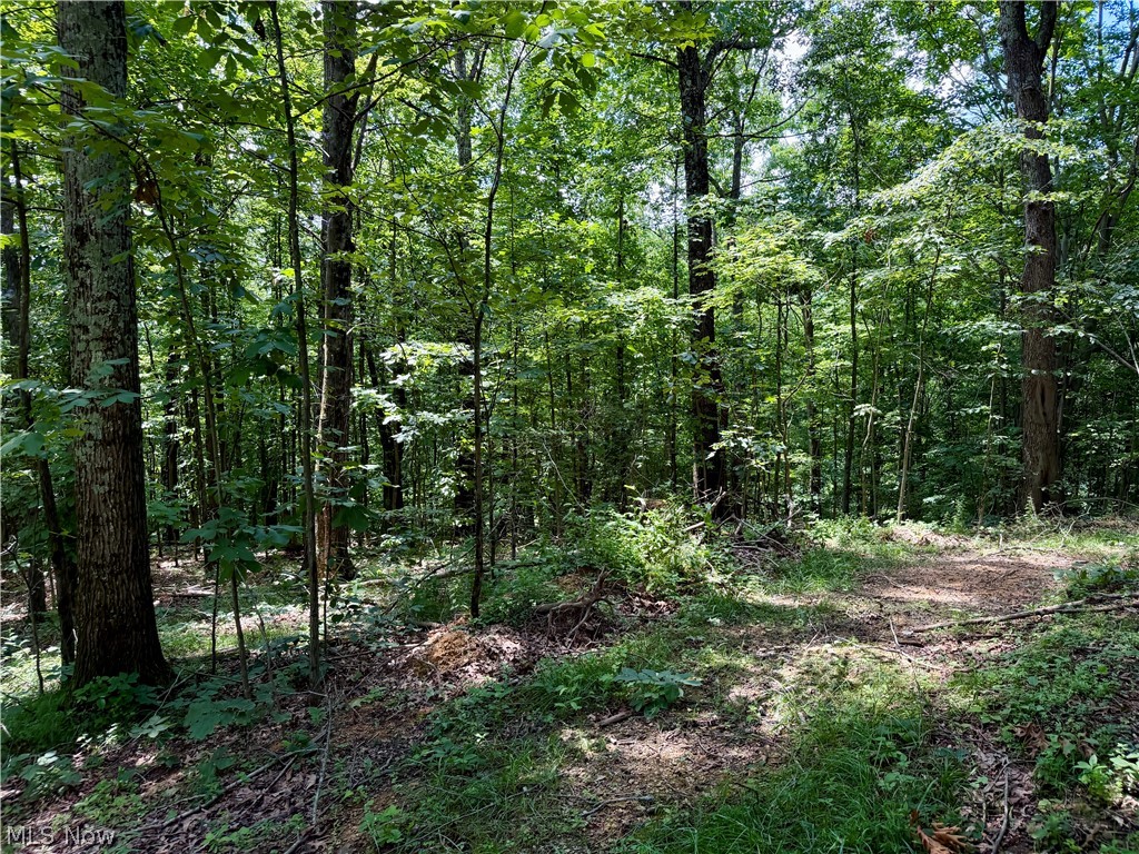 0 Temperanceville Highway Property Photo 28