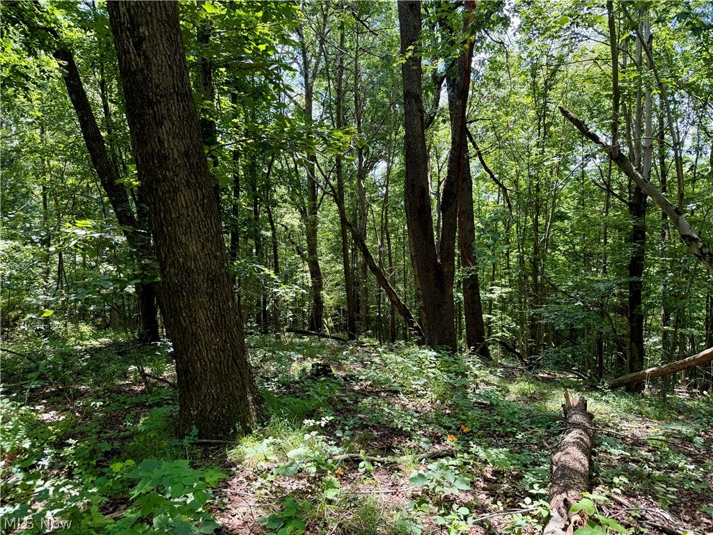 0 Temperanceville Highway Property Photo 29