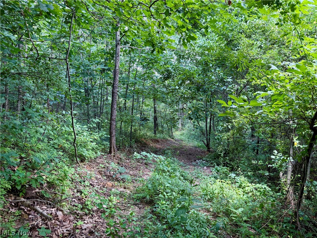 0 Temperanceville Highway Property Photo 31