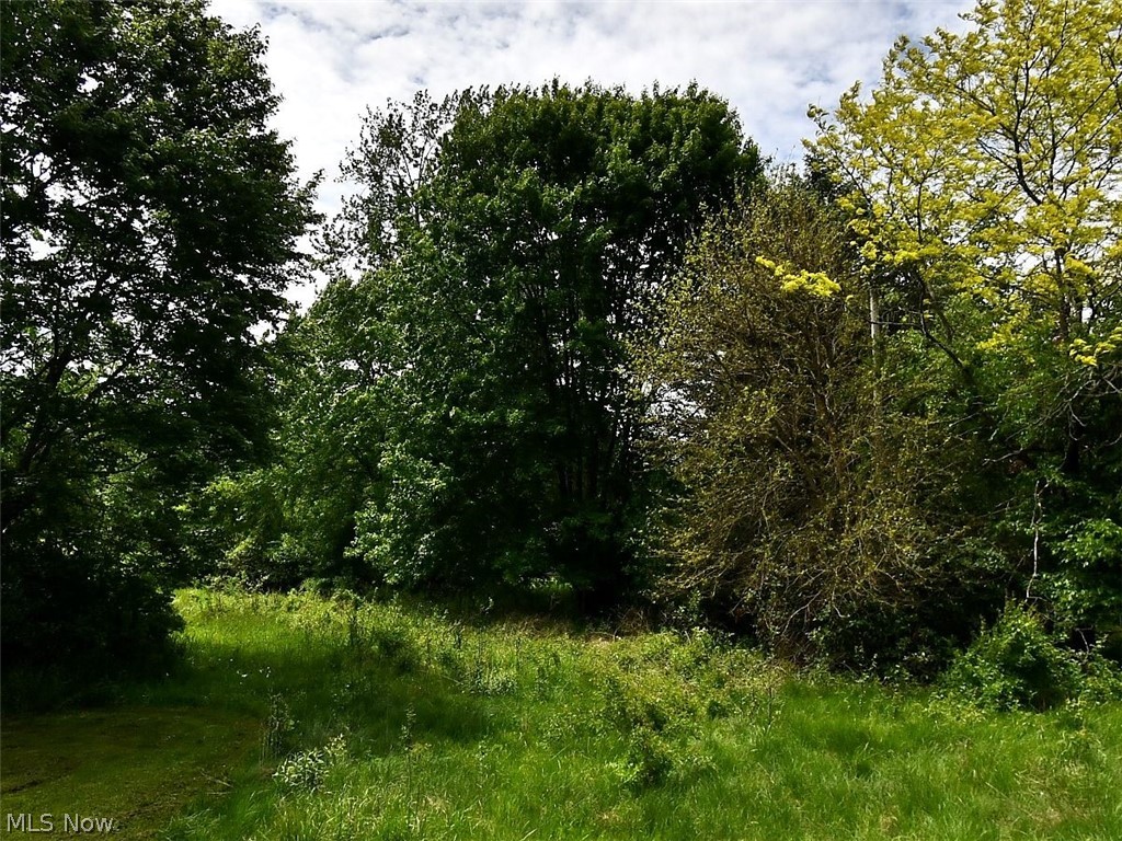 6638 Chestnut Ridge Road Property Photo 1