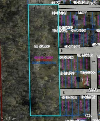 0 Lincoln Avenue Property Photo 1