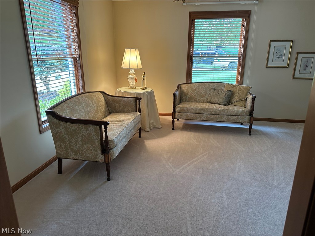 71 Rosemar Meadows Drive Property Photo 6