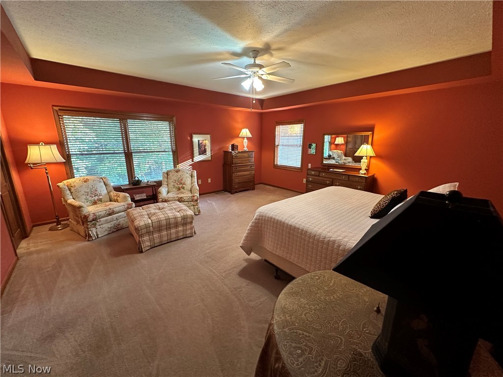 71 Rosemar Meadows Drive Property Photo 28