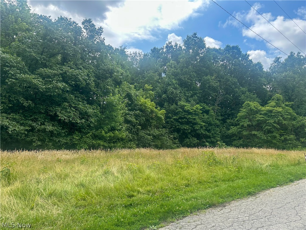 Longwood Avenue