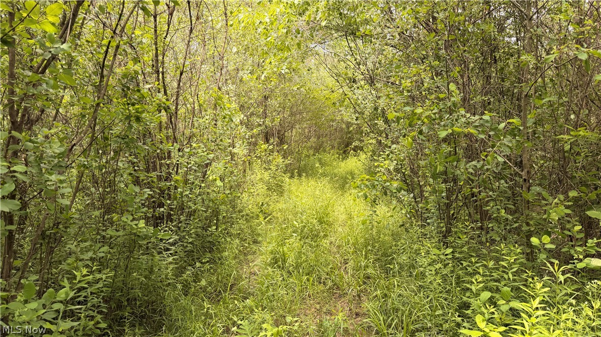 Leiby Osborne Road Property Photo 2