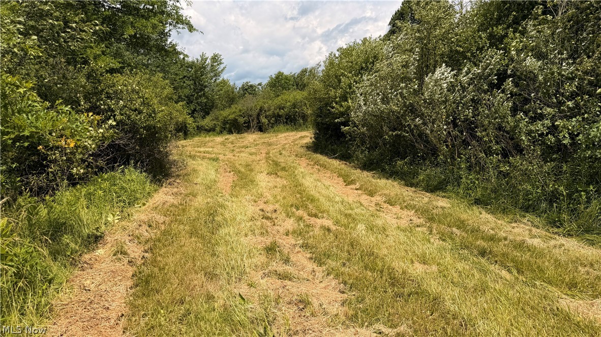 Leiby Osborne Road Property Photo 8