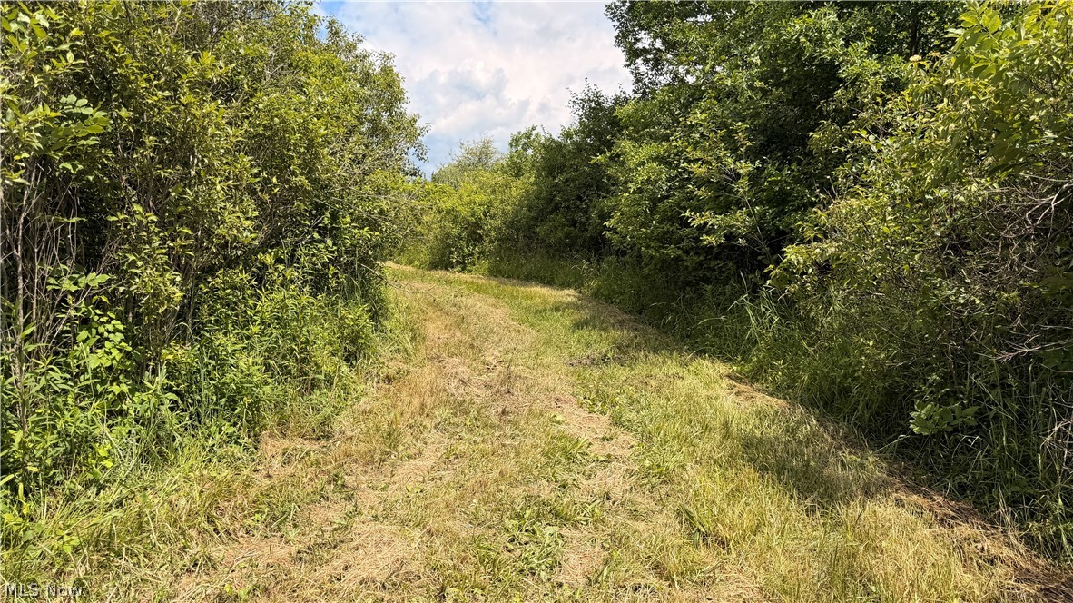 Leiby Osborne Road Property Photo 10