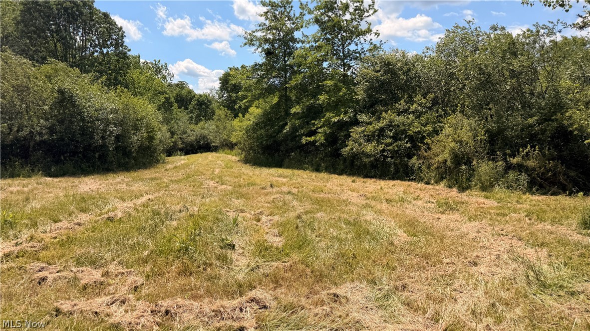 Leiby Osborne Road Property Photo 11