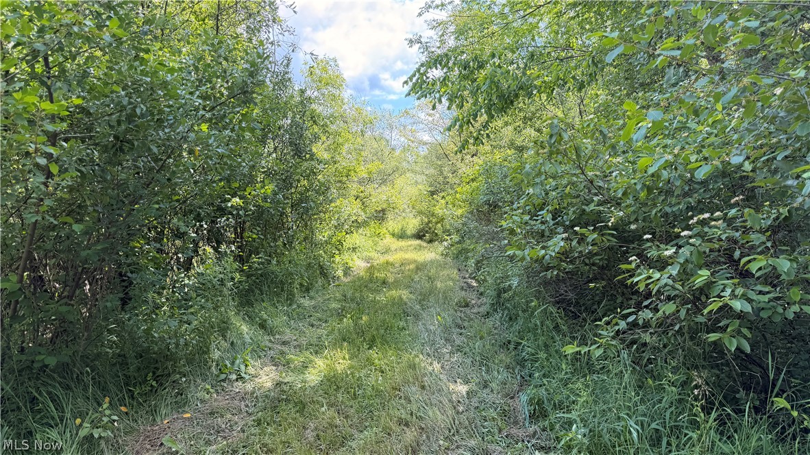 Leiby Osborne Road Property Photo 15