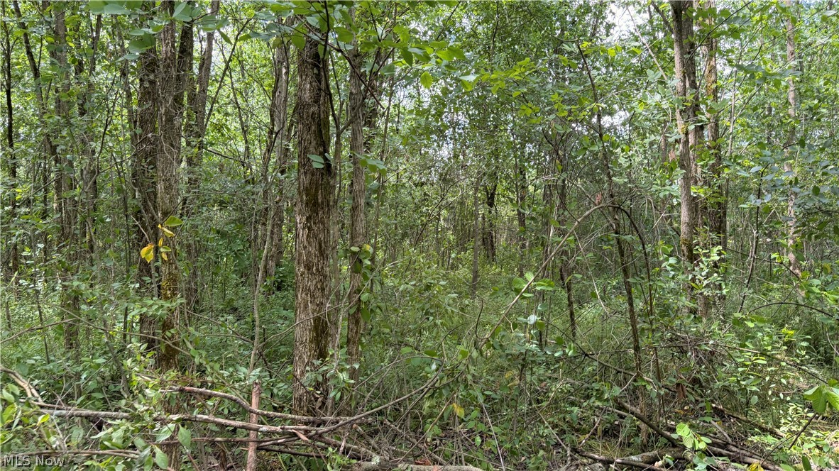 Leiby Osborne Road Property Photo 16