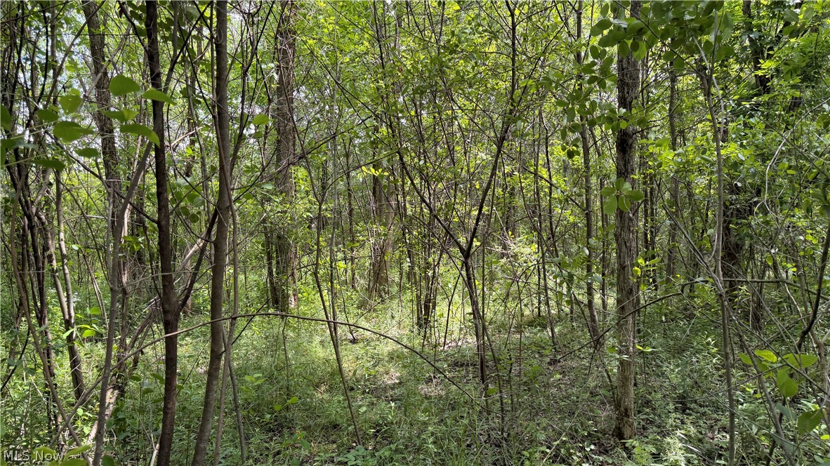 Leiby Osborne Road Property Photo 17