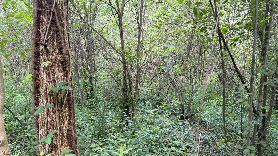 Leiby Osborne Road Property Photo 18