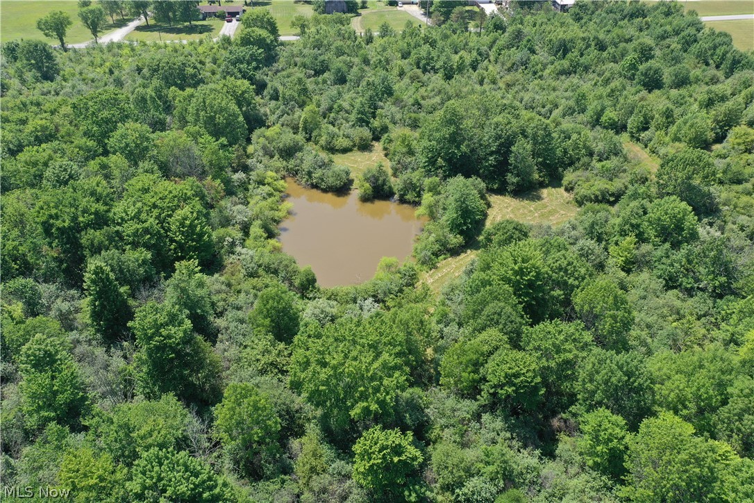 Leiby Osborne Road Property Photo 23