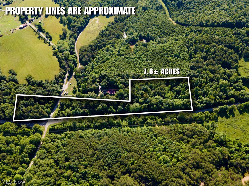 Tract 5 Jake Road Property Photo 1