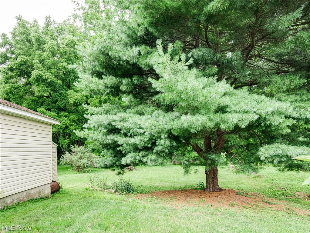 488 Massillon Road Property Photo 18