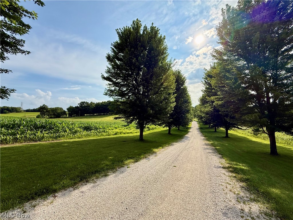 1098 Mace Road Ne Property Photo 6