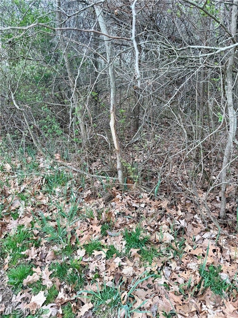 1098 Mace Road Ne Property Photo 48