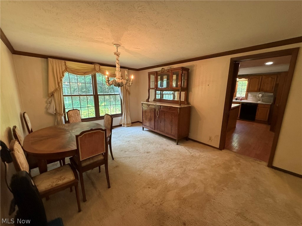 6400 Juniper Drive Property Photo 15