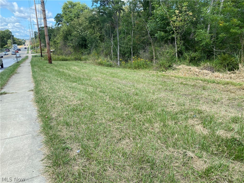 13525 Royalton Road Property Photo 1