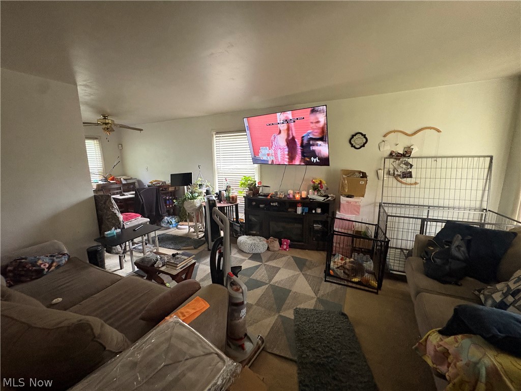 24951 Treadwell Property Photo 5