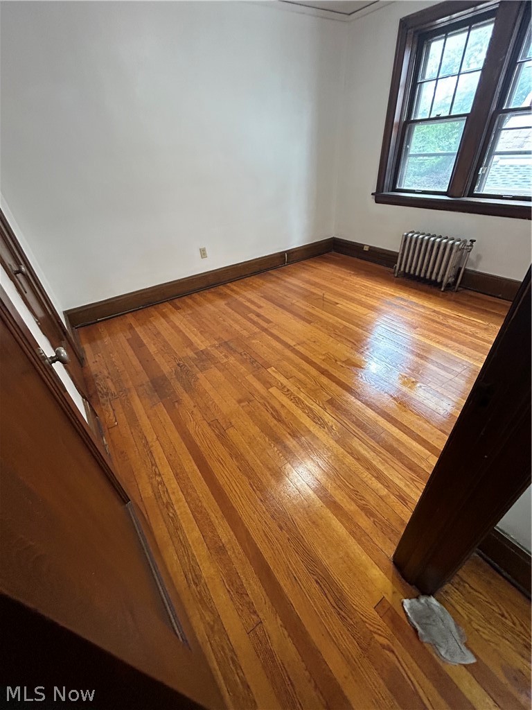 79 Frances Avenue Property Photo 20