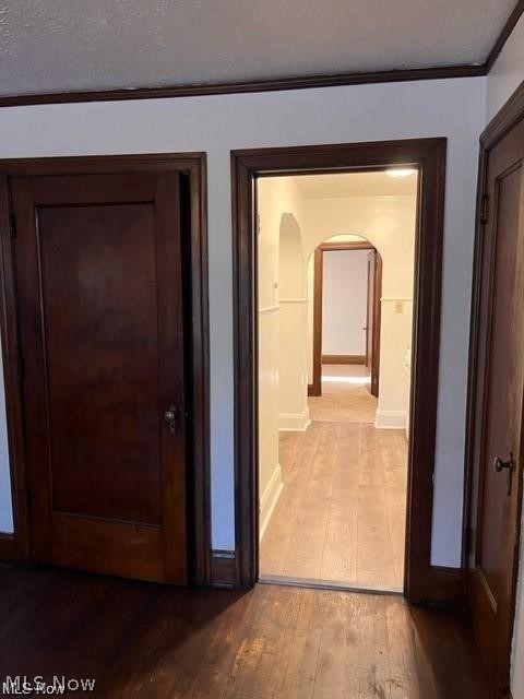 79 Frances Avenue Property Photo 25