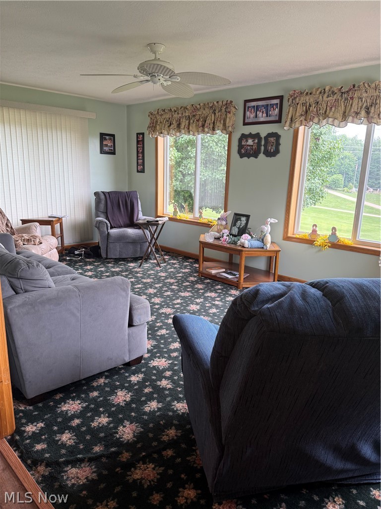 49208 Hickman Rd Property Photo 27
