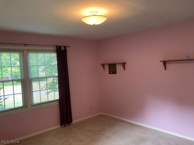 8770 Squirrel Hill Property Photo 17