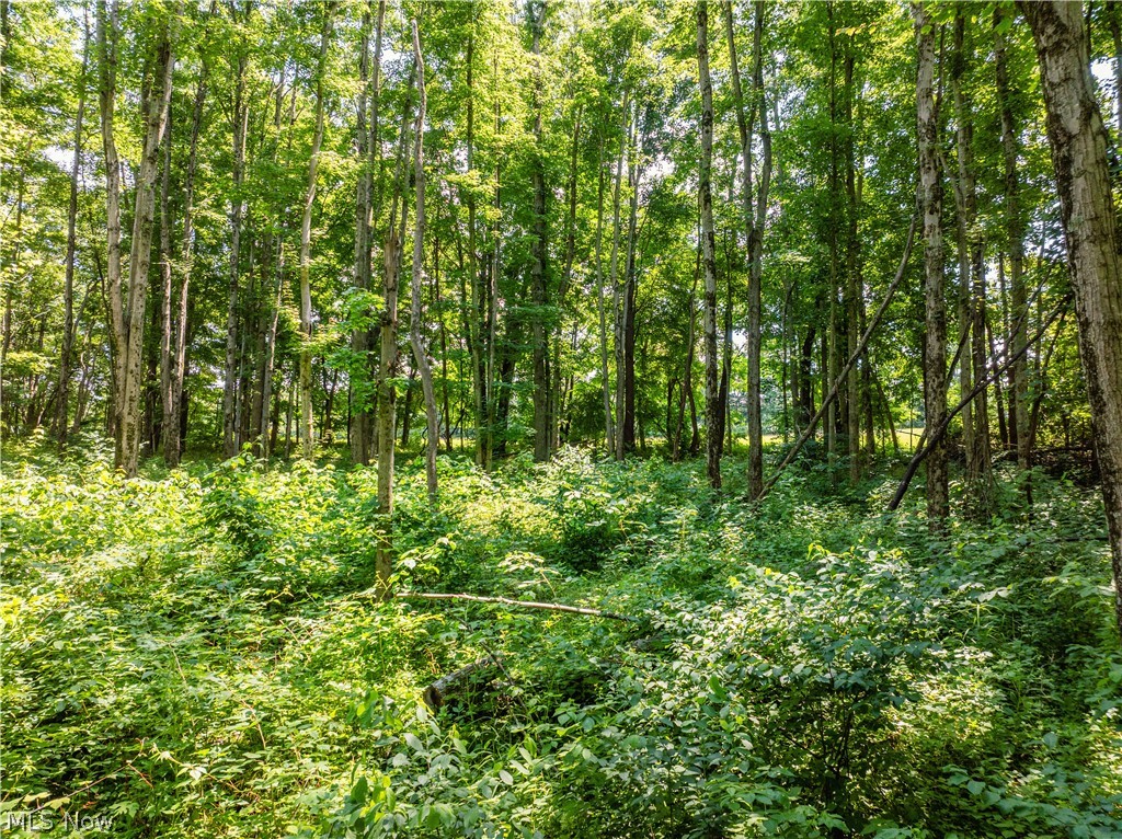Lot 16 Township Rd 51 Property Photo 13