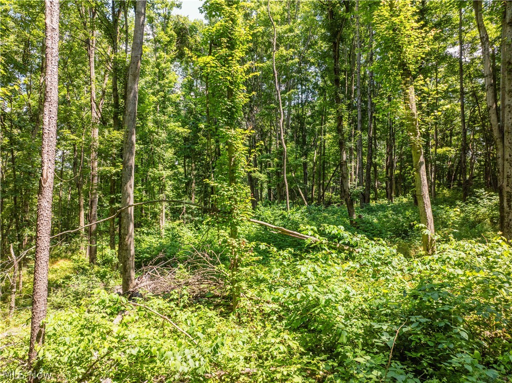 Lot 16 Township Rd 51 Property Photo 14