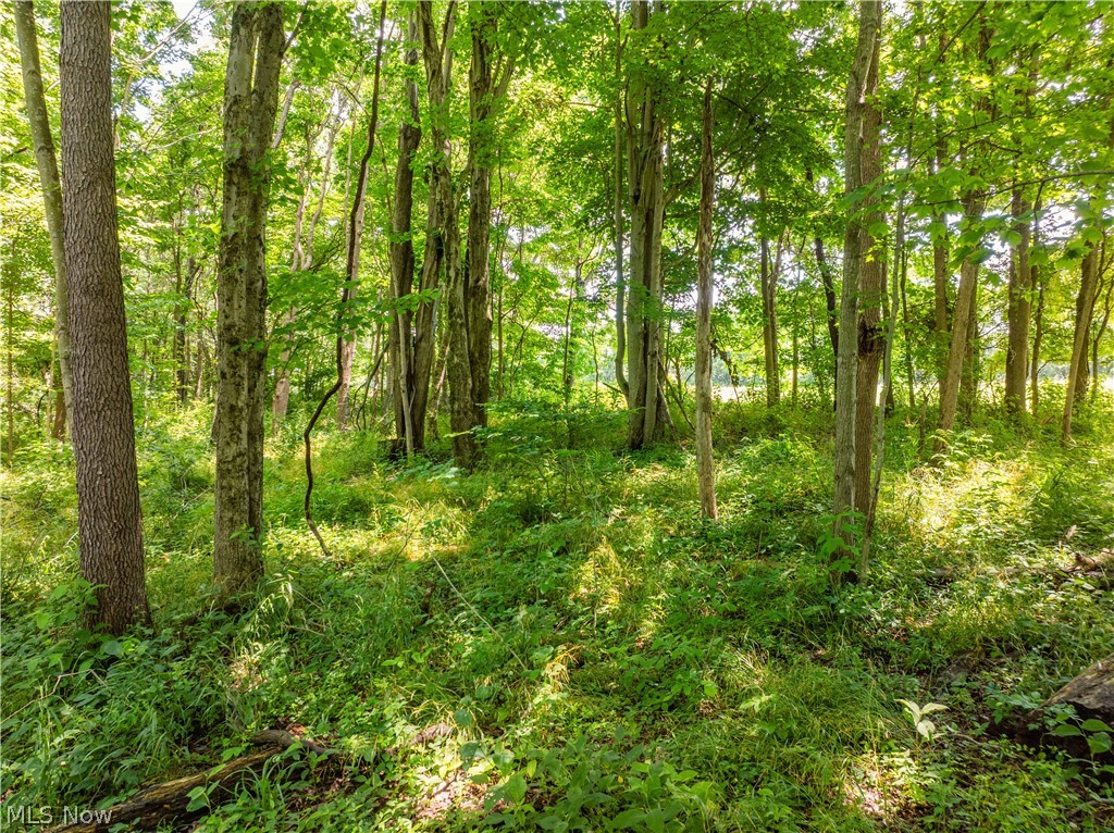 Lot 16 Township Rd 51 Property Photo 15